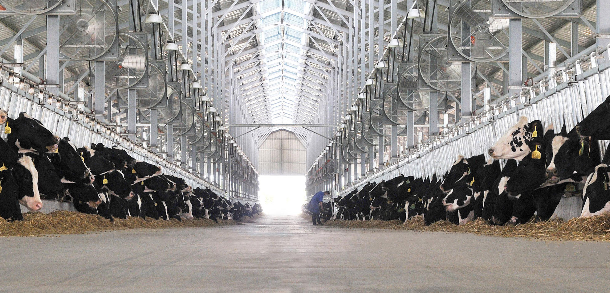 山東延信制冷設(shè)備有限公司